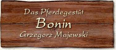 Das Pferdegestt Bonin - Grzegorz Majewski